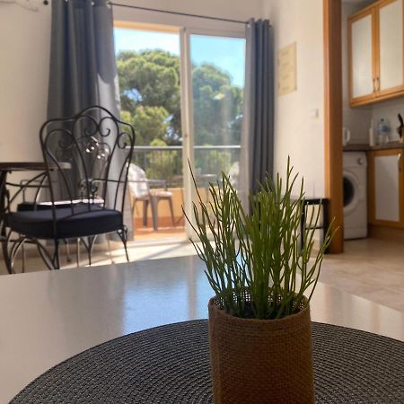 לה מאטה Casa De La Duna Costa Blanca מראה חיצוני תמונה