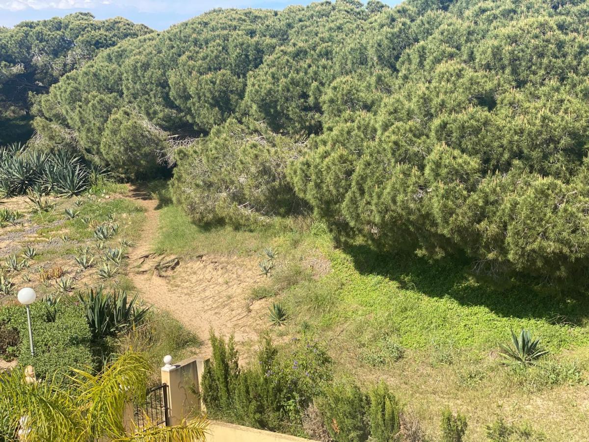 לה מאטה Casa De La Duna Costa Blanca מראה חיצוני תמונה